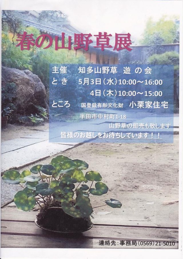 小栗家住宅 春の山野草展